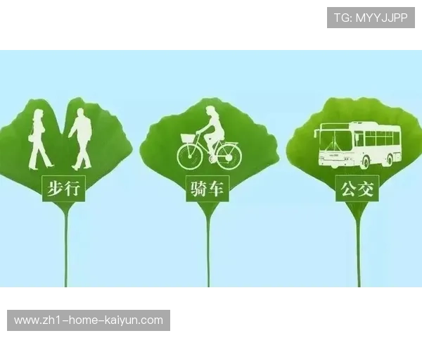 数字化营销工具精准推送绿色交通攻略 显著提升了观众公共出行的意愿度
